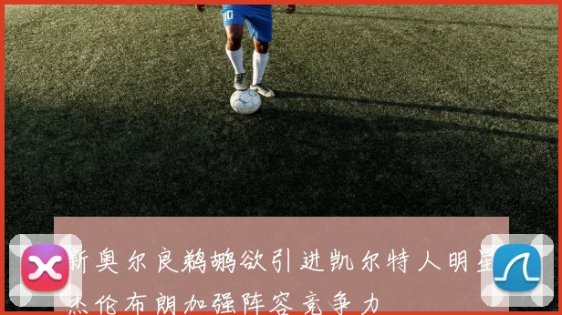 新奥尔良鹈鹕欲引进凯尔特人明星杰伦布朗加强阵容竞争力